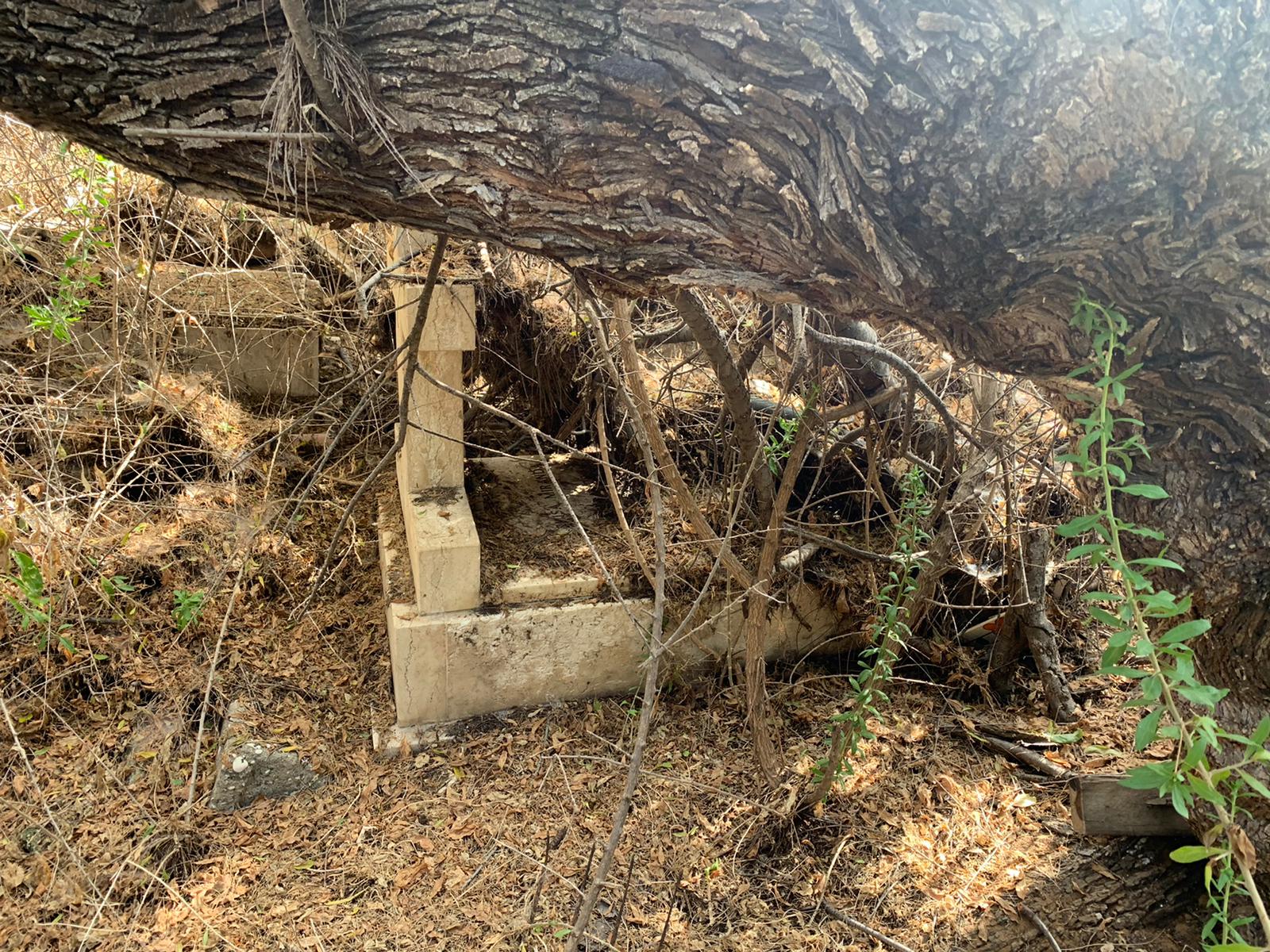 WhatsApp Image 2021-05-31 at 10.49.01 AM (2).jpeg